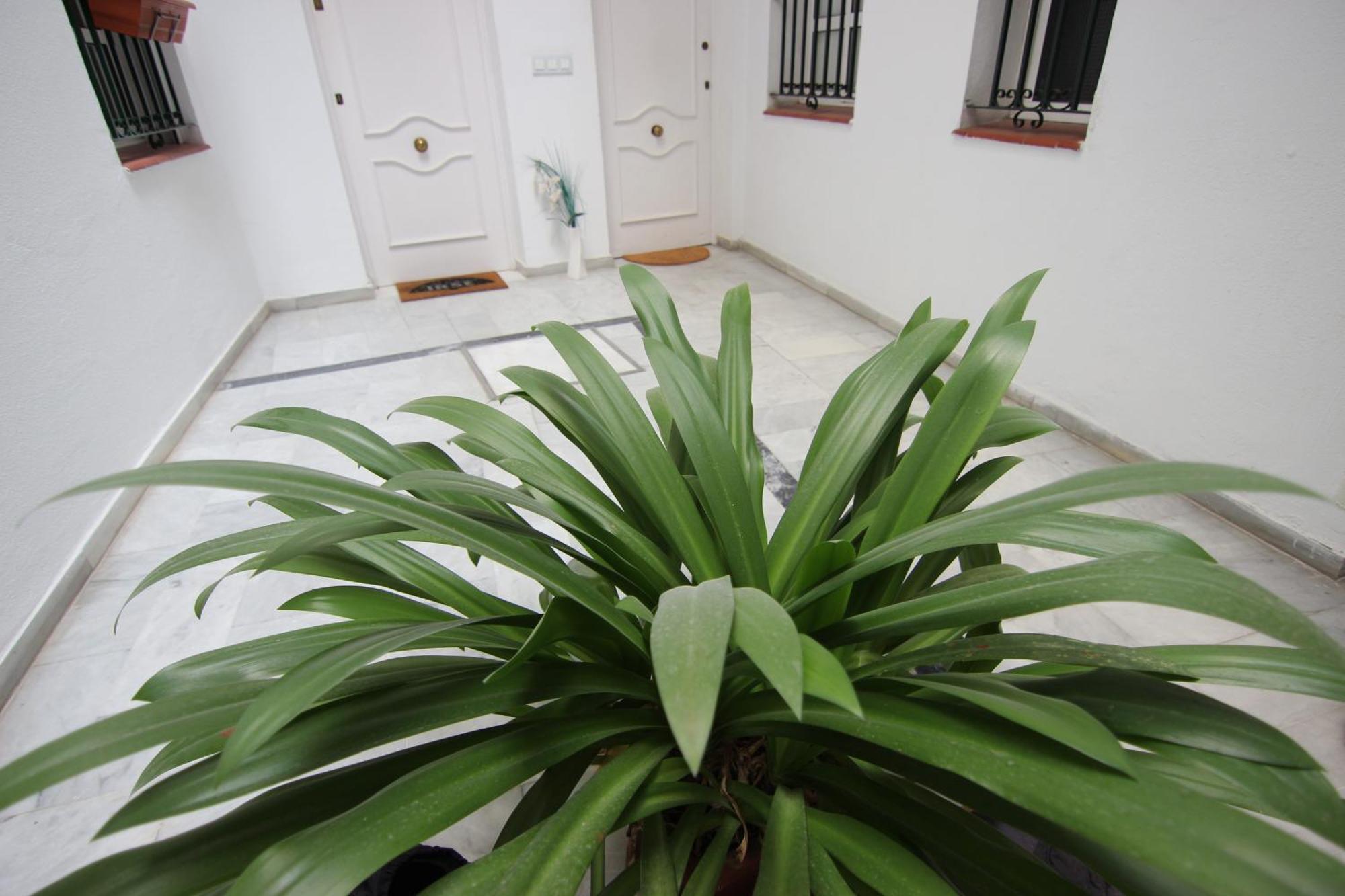 Apartamento Corazon De Triana Севилья Экстерьер фото